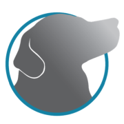 Grey Muzzle Organization