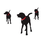 BISSELL Pet Foundation